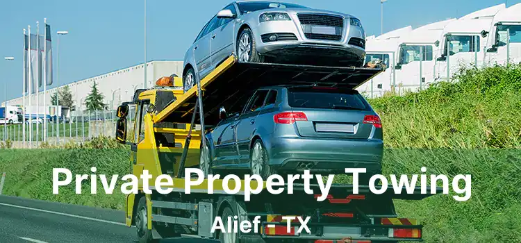 Private Property Towing Alief - TX