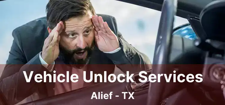 Vehicle Unlock Services Alief - TX