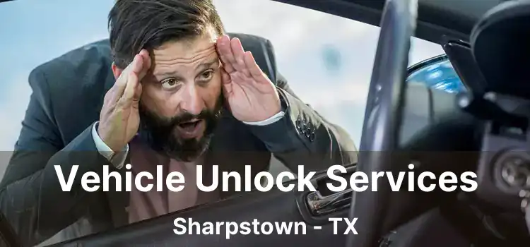 Vehicle Unlock Services Sharpstown - TX