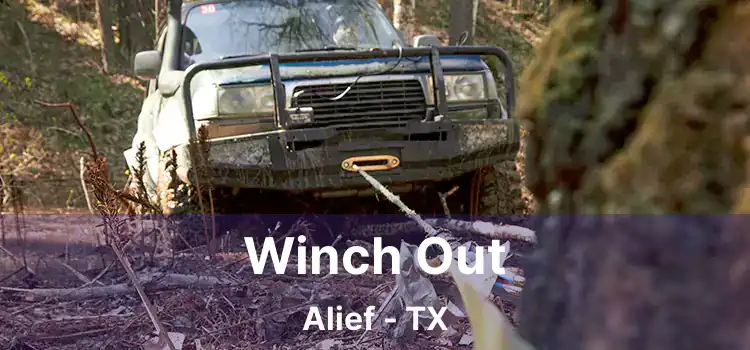 Winch Out Alief - TX