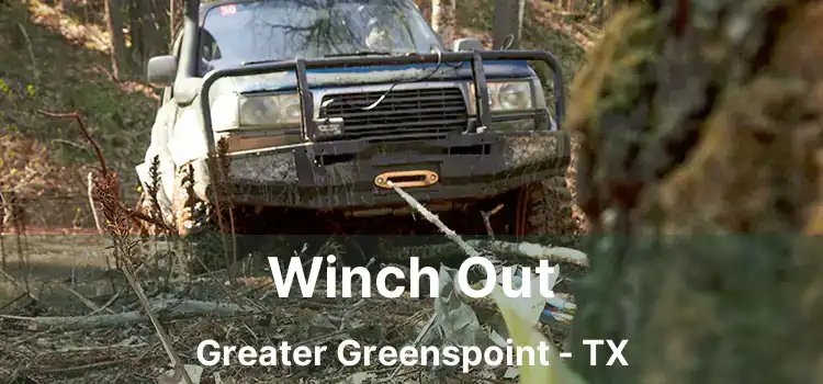 Winch Out Greater Greenspoint - TX