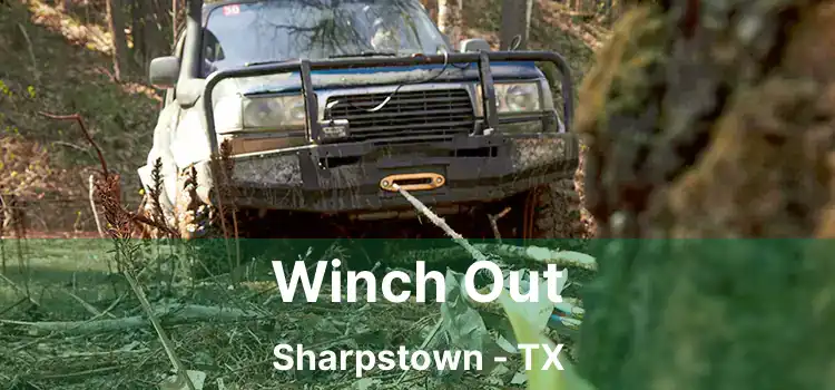 Winch Out Sharpstown - TX